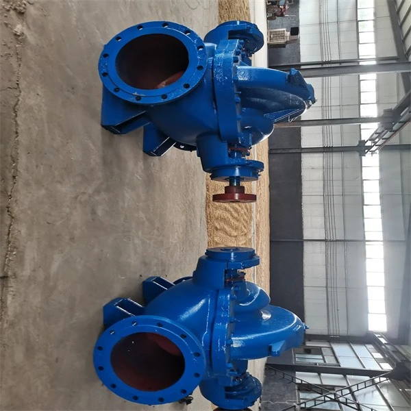 S Double Suction Pump best